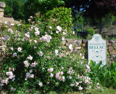 Domaine de Bellac
